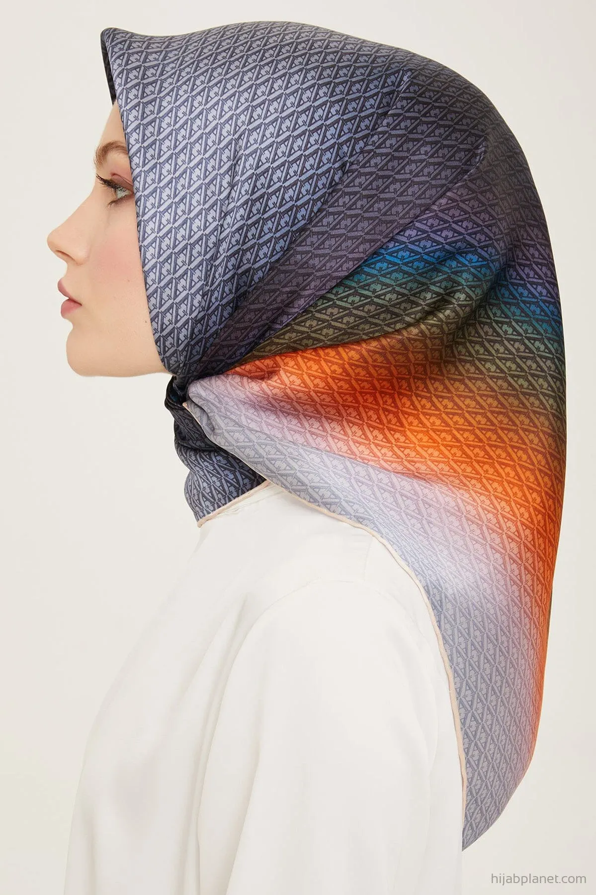 Armine Hathway Women Silk Scarf #22