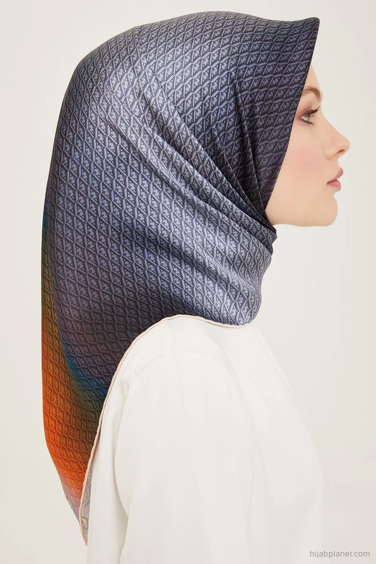 Armine Hathway Women Silk Scarf #22