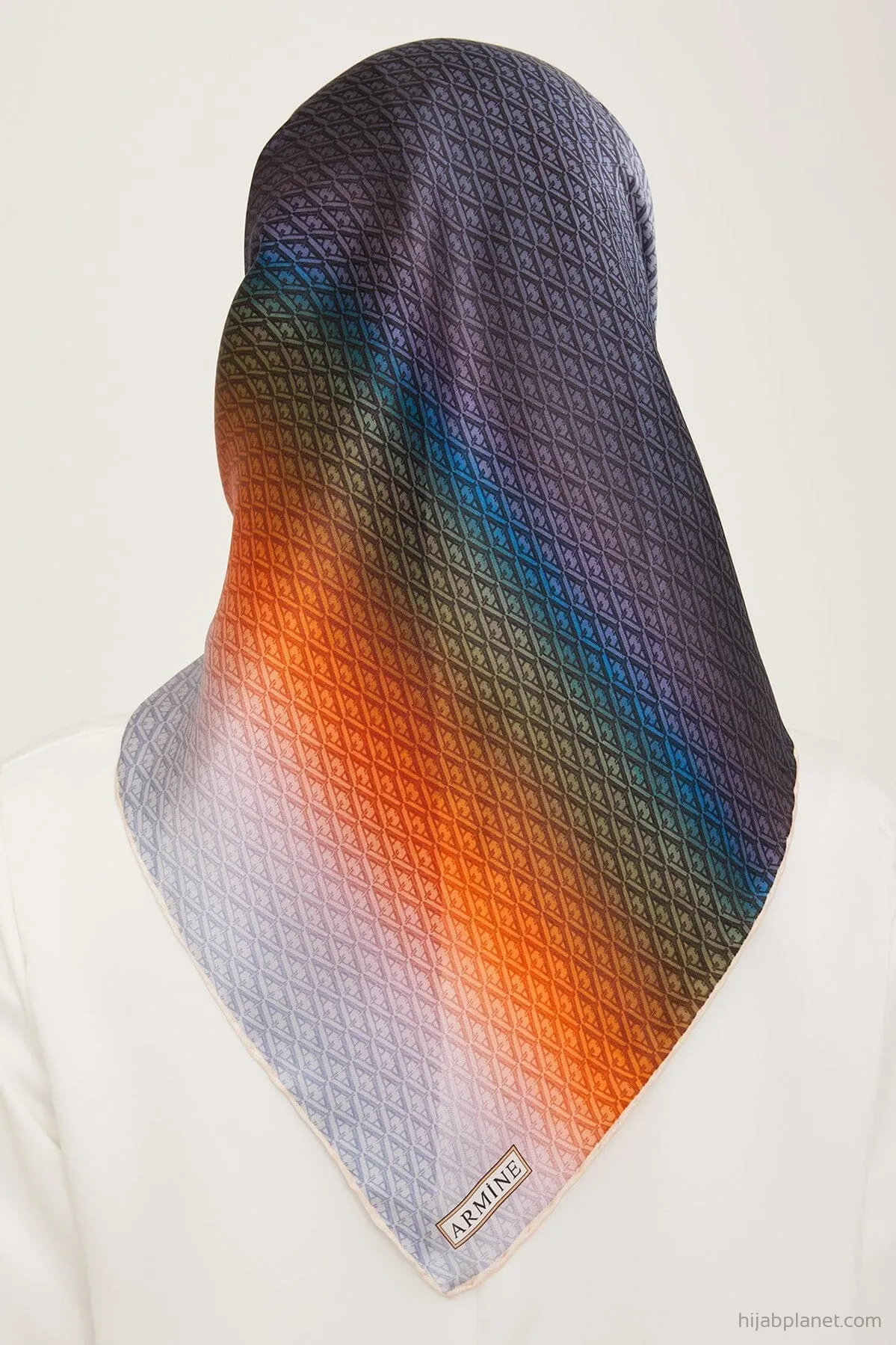 Armine Hathway Women Silk Scarf #22