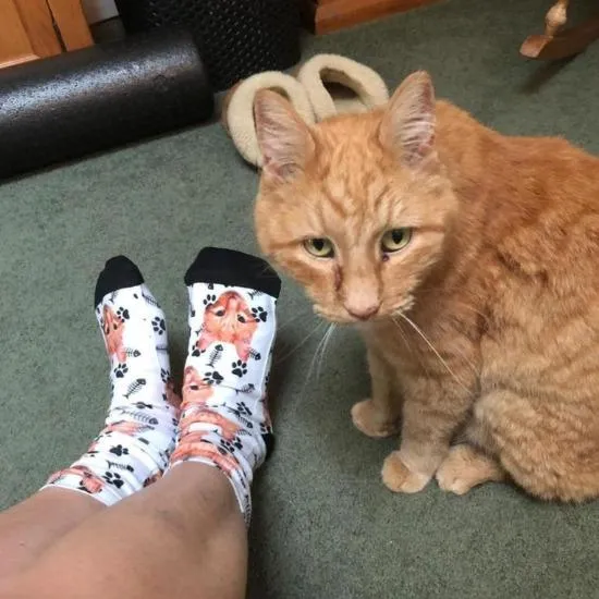 Custom Pet Face Socks