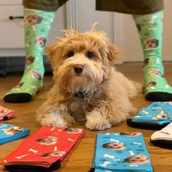Custom Pet Face Socks